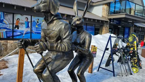 My Alpine Adventure at Mt Buller — traveler post in Mount Buller