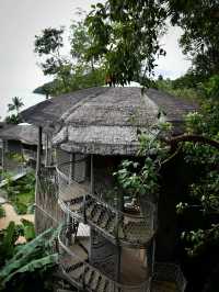 Tree house 🏠 
