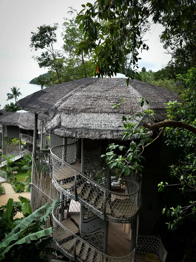Tree house 🏠 