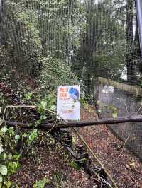 ไปดูนกกีวี่ ไอคอนของนิวซีแลนด์ตัวจริงที่ Kiwi Park