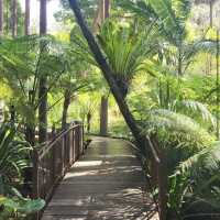 Royal Botanic Gardens Victoria - Melbourne Gardens
