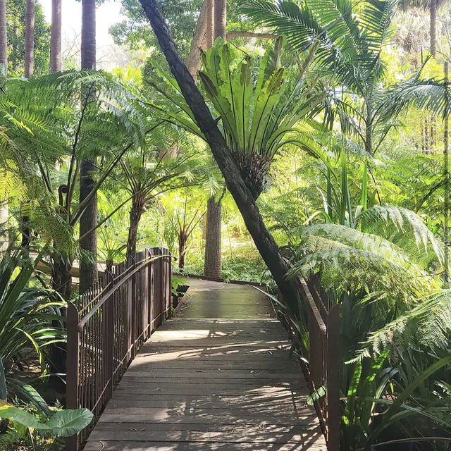 Royal Botanic Gardens Victoria - Melbourne Gardens