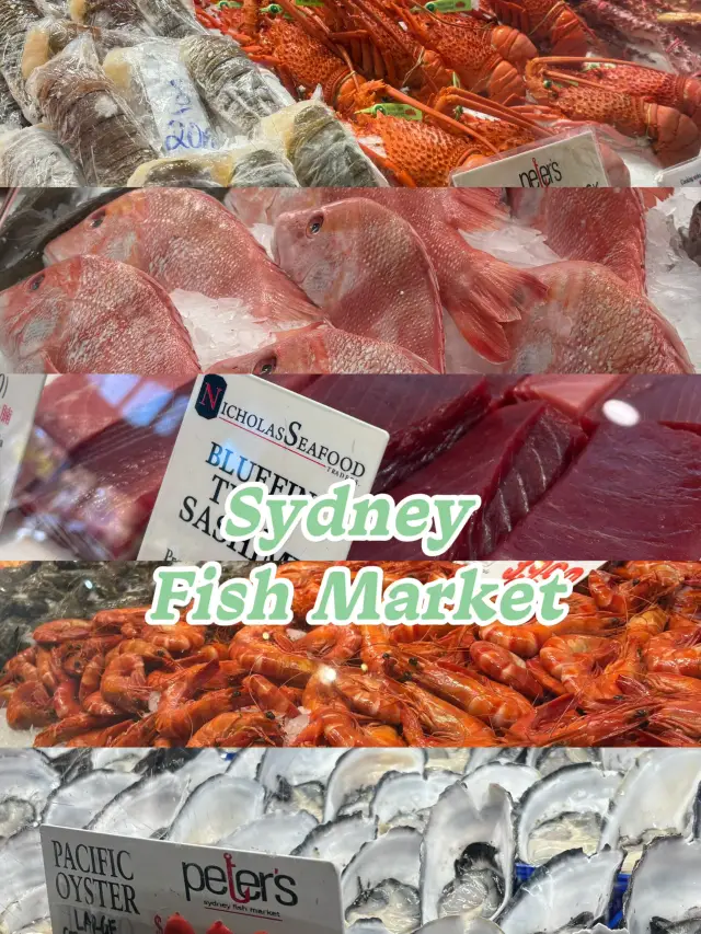 Sydney fish market