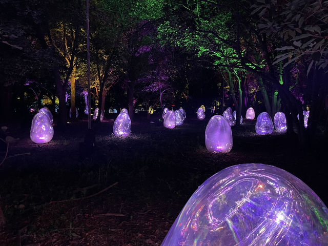 Summer Magic in Osaka — 3 Nights of Light, Art & Hidden Corners