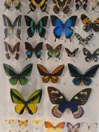 NATIONAL MUSEUM OF NATURE AND SCIENCE.