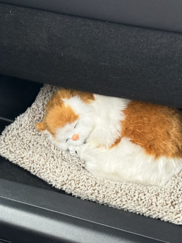 海風、白鳥居、龍貓的足跡：我在糸島尋找治癒系的藍