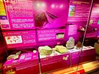 Stephen Hui Geological Museum — Explore Earth’s Ancient Secrets