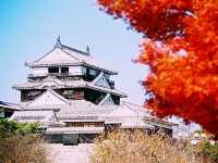 Sky Fortress of Shikoku: My Solo Visit to Matsuyama Castle