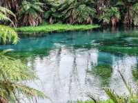 Pure Blue: New Zealand's Blue Spring