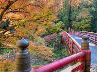 あの花の聖地🌼秩父で紅葉満喫