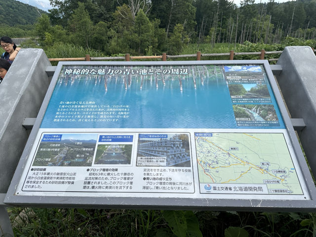北海道—青池