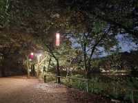 Korean Folk Village