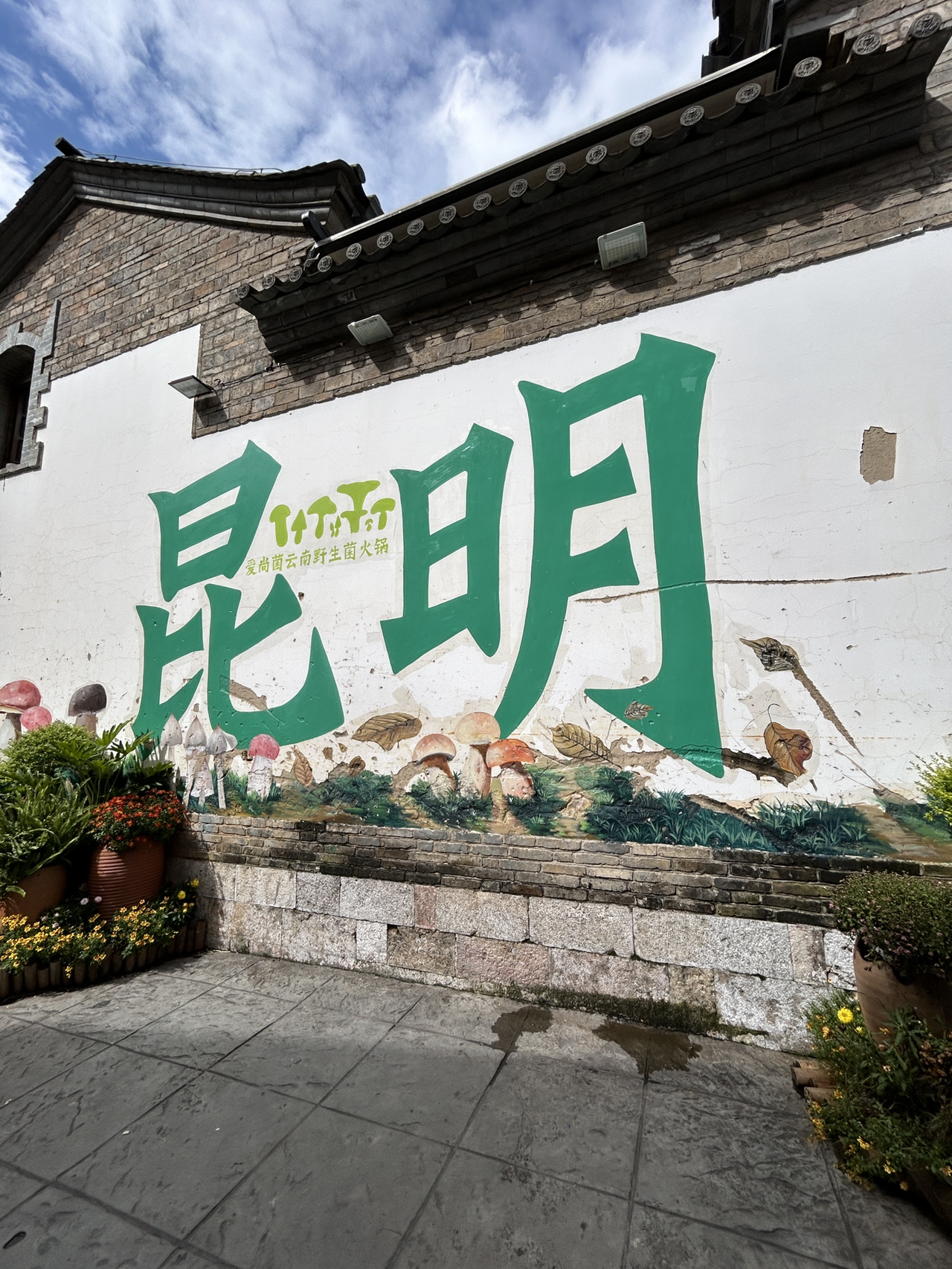 Kunming’s Old Street is seriously a foodie heaven 🍡✨ From ancient vibes to street snacks, it’s like stepping into a living mural. Here’s why Kunming’s heart (Wuhua district’s Old Street) should top your must-visit list, especially if you’re chasing culture and a killer food scene.

Must-See Places:
– Old Street Kunming (Wuhua, Kunming, Yunnan, China; open 24/7): The ultimate daytime stroll—catch sunbeams warming centuries-old Chinese architecture and detailed murals. Grab your camera for the calligraphy and close-up shots of old-meets-new buildings.
– Flower Cake Stands: This local dessert is a must. Tip—try them fresh and warm, straight from the street carts. They’re sweet, perfumed, and ultra yumm 🌸🥮
– Murals & Calligraphy Zones: Hunt for tucked-away outdoor cultural spots between busy courtyards. Perfect for rainy and sunny days alike!

Travel Tips:
– Kunming’s weather is unpredictable: bring a light raincoat even on “sunny” days—clouds roll in fast!
– Foodie hack: Skip big restaurants at lunch, dive into Old Street’s mini cafes or stall stands instead for authentic snacks and desserts.
– Most spots on Old Street are walkable—leave time to roam, every corner hides a new flavor or cool photo opp.
– Pay in cash or local mobile apps; big bills often aren’t accepted at street snack vendors.

Getting Around:
Taxis and public buses are fast for Kunming’s compact city center. Set your GPS for “Wuhua Old Street”—the central hub for culture and food.

Don’t miss those flower cakes—they’re iconic. End your day with street food, old buildings glowing under neon, and plenty of foodie snaps. #KunmingEats #FlowerCake #OldStreetKunming #ChinaTravel #FoodHunt#hellohalloween #YunnanViews 