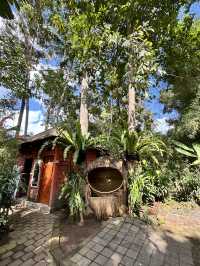 MUST TO TRY SWING IN BALI