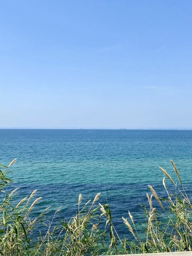 🌅 Sweet Escape on the West Coast of Awaji Island 🌅 Sweet Escape on the West Coast of Awaji Island