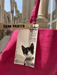【🇵🇹ポルトガル】リスボンにある猫が人気な修道院