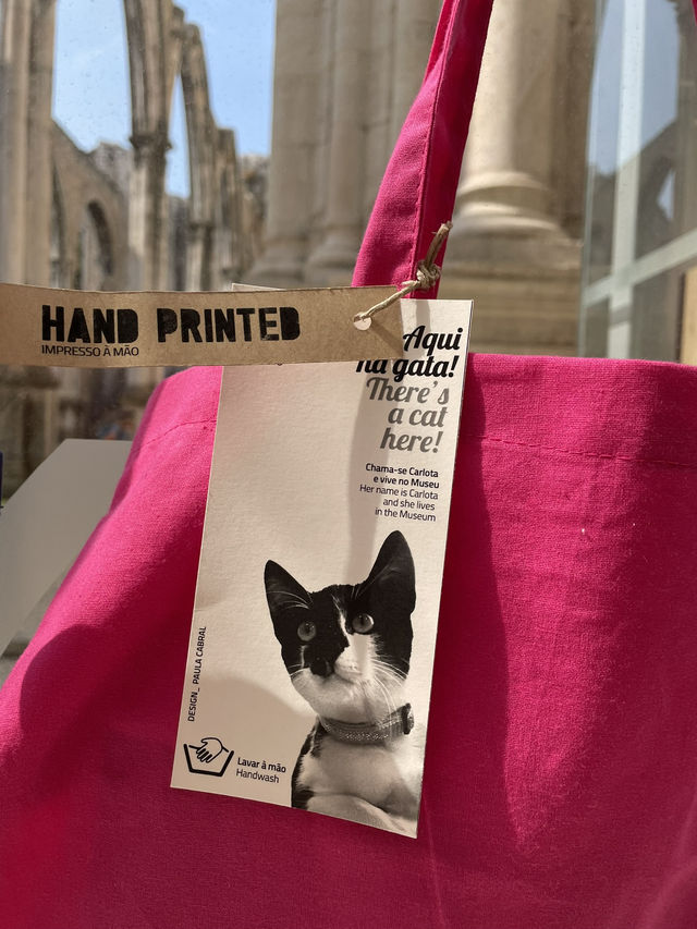【🇵🇹ポルトガル】リスボンにある猫が人気な修道院