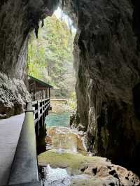 🕳️🌌 Beneath the Earth at Akiyoshido Cave 🌿✨