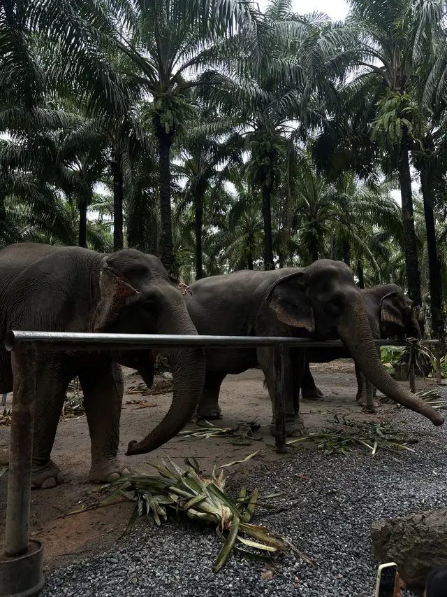 초대합니다: Baan Chang Café