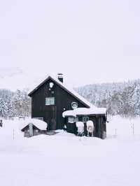 聽說札幌下雪了