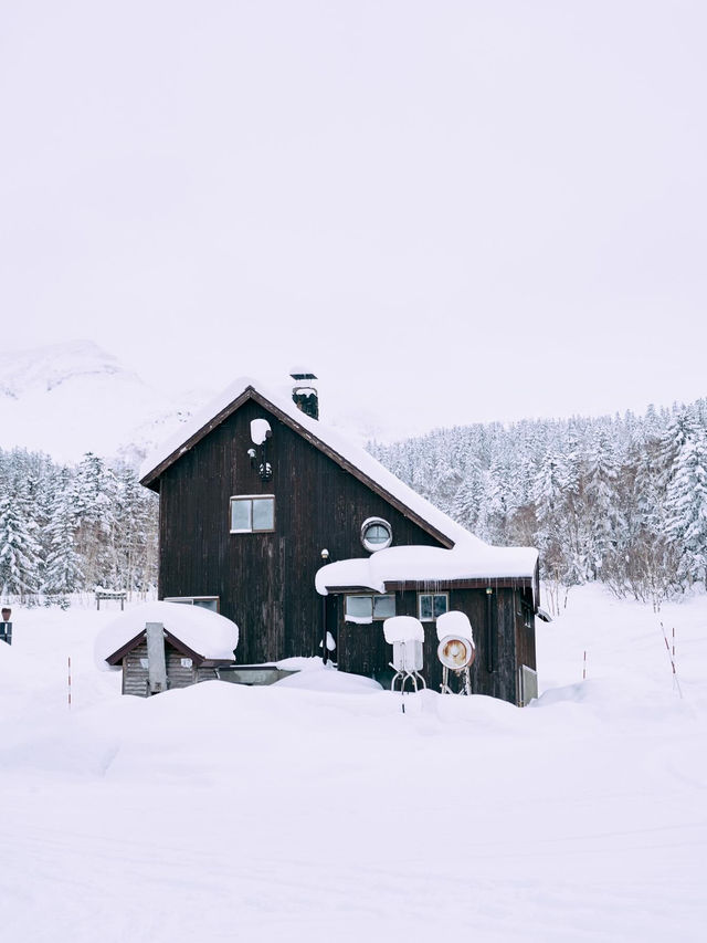 聽說札幌下雪了