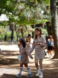 เลี้ยงกวางที่ 🦌 สวนสาธารณะนารา