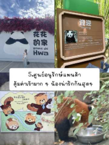 แจกพิกัดเฉิงตู part.2