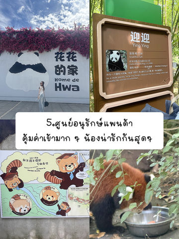 แจกพิกัดเฉิงตู part.2