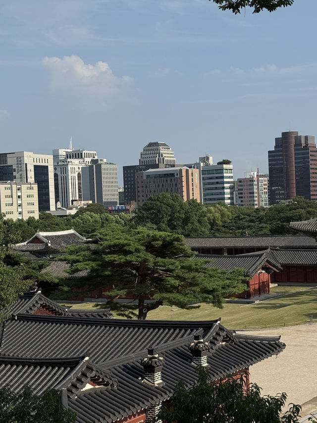 Changgyeonggung Palace — where Seoul feels different 🤍