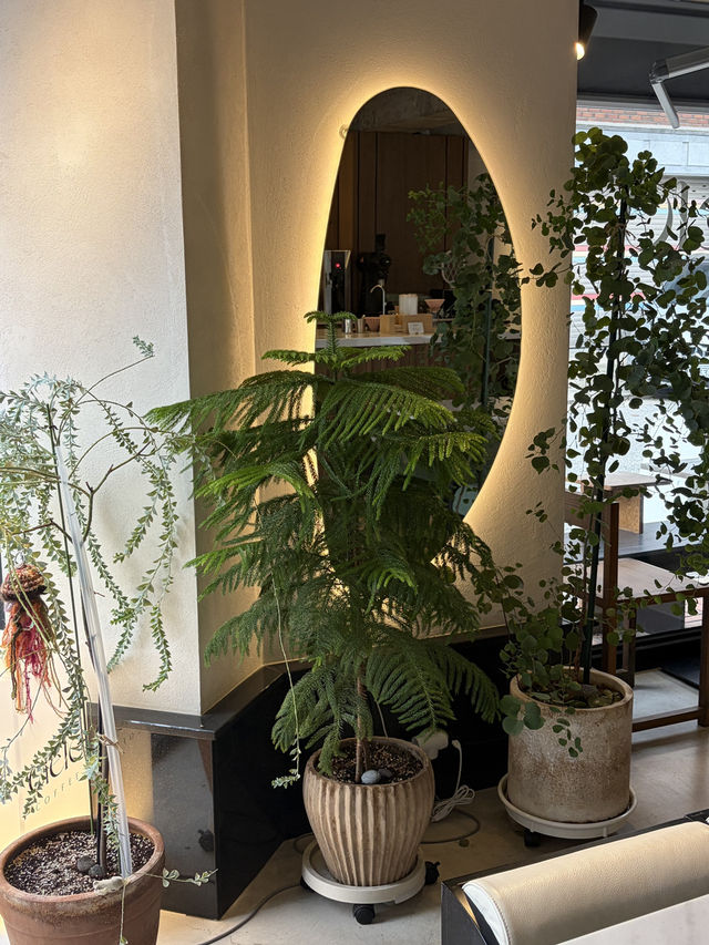 ☕ 망원동 카페 씨엘로, 햇살이 머무는 공간 🌿