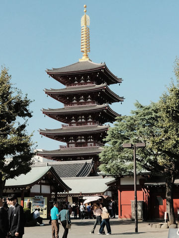 Tokyo Temple Days⛩️