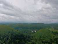 Chocolate Hill Dream🍃