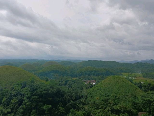 Chocolate Hill Dream🍃 Chocolate Hill Dream🍃