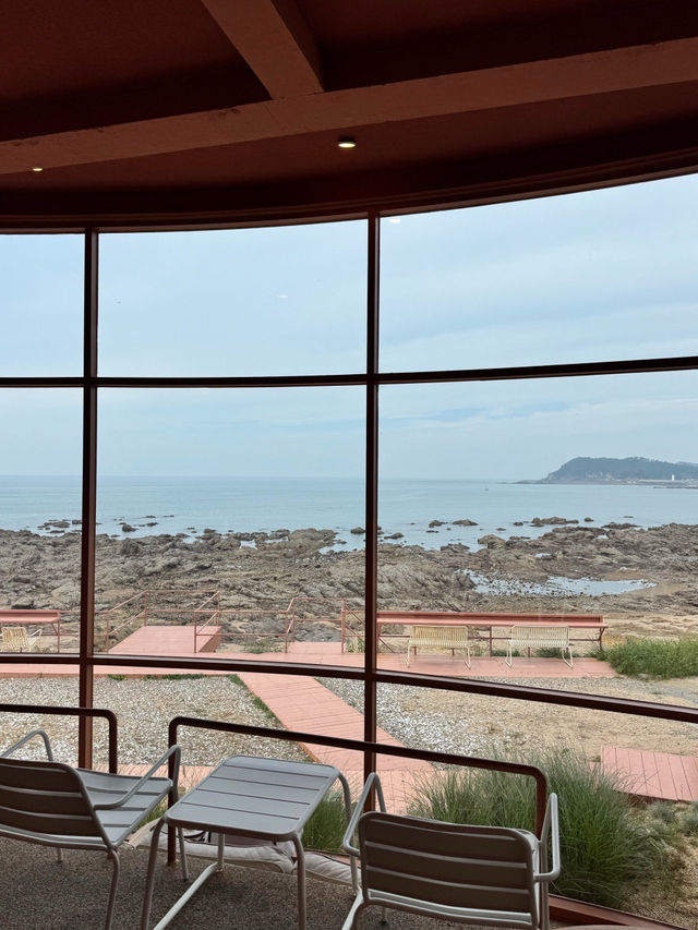 ํ์ ํ๋๋ฆฌ ํด์์์ฅ ์ค์
๋ทฐ ์นดํ ์ปคํผ์ธํฐ๋ทฐ ํ๋๋ฆฌ ํ์ ํ๋๋ฆฌ ํด์์์ฅ ์ค์
๋ทฐ ์นดํ ์ปคํผ์ธํฐ๋ทฐ ํ๋๋ฆฌ