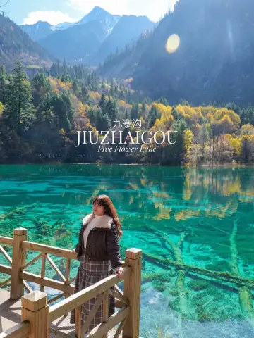 最後衝刺欣賞九寨溝的秋季紅葉