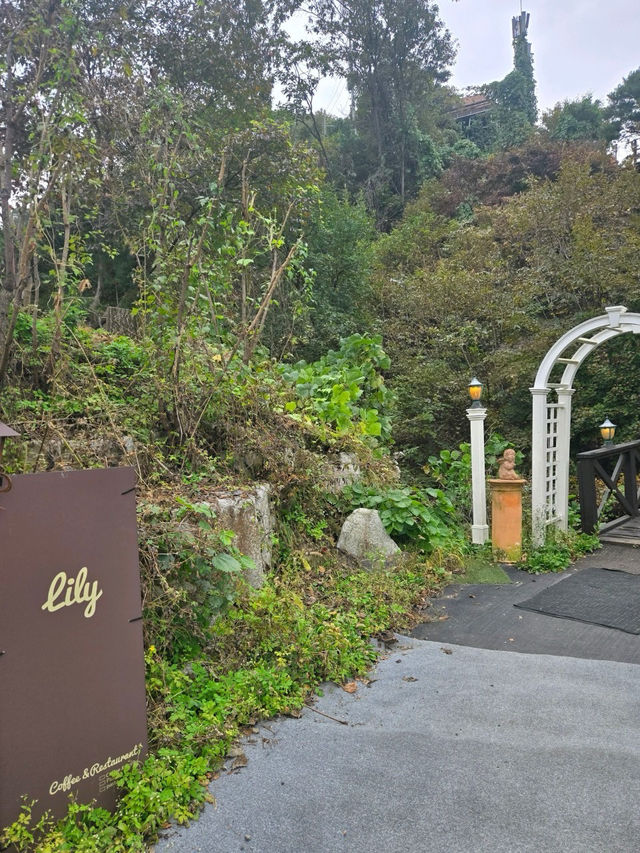 🤎가평 릴리 숲뷰가 아름다운 가을 추천🧡