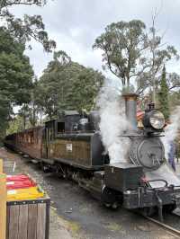 Australia’s Dreamy Adventures: Gold Coast Thrills & Melbourne Views 🏖️🌆