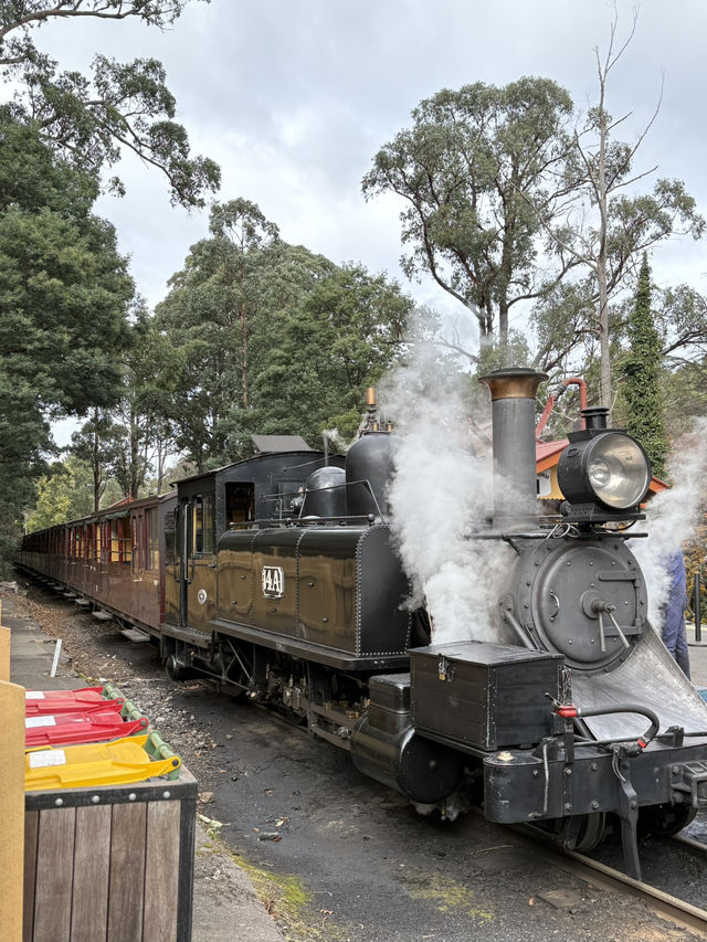 Australia’s Dreamy Adventures: Gold Coast Thrills & Melbourne Views 🏖️🌆