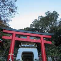  🌊 รีวิวเกาะเอโนชิมะ (Enoshima) 