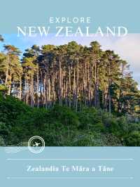 【NZ】🌿 Zealandia & Mount Eden|生きた自然保護区と火山の丘で“生命と景観”を味わう
