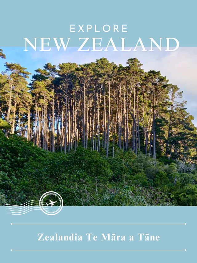 【NZ】🌿 Zealandia & Mount Eden|生きた自然保護区と火山の丘で“生命と景観”を味わう 【NZ】🌿 Zealandia & Mount Eden|生きた自然保護区と火山の丘で“生命と景観”を味わう