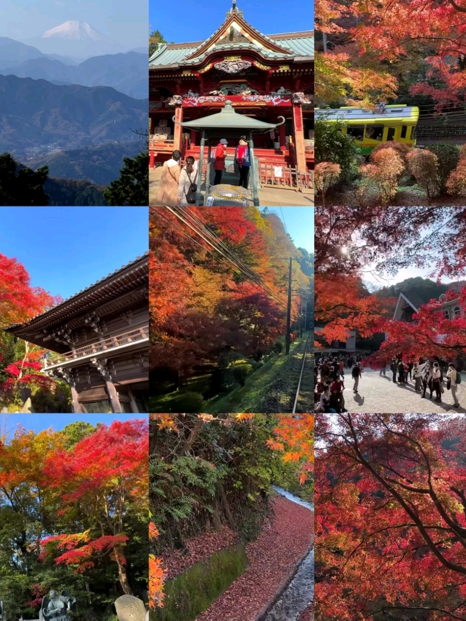 Complete Guide to Enjoying Autumn Foliage at Mount Takao! ✨

🚠 Must-Try Cable Car Experience
Take the mountain cable car as it ascends slowly, and watch the sea of trees below transition from lush green to golden and crimson hues. It's like stepping into a moving masterpiece of art 🎨
Ticket Price: One-way 480 yen | Round-trip 930 yen

🍁 Top 3 Scenic Spots:
1️⃣ Summit Observation Deck
Witness the exclusive combination of "Mount Fuji × Autumn Leaves." The snow-capped peak contrasts beautifully with the vibrant red foliage—breathtakingly stunning! 🤩
(Tip: Visit early in the morning to avoid crowds!)

2️⃣ Around Yakuoin Temple
The red leaves perfectly complement the vermilion eaves of the ancient temple. The drifting incense smoke dances with the falling leaves, instantly capturing the essence of Japanese "Momijigari" (autumn leaf hunting) 📸

3️⃣ Mountain Trails
Paths dyed in autumn hues, every step feels like walking on a warm-colored carpet of rustling leaves. The air carries the unique dry fragrance of fallen leaves—so soothing!

🍡 Must-Buy Souvenir:
Mount Takao's exclusive Maple Leaf Manju! Warm red bean filling in a maple leaf-shaped bun—your taste buds will remember the warmth of this autumn 💛

📍 Address: Takaomachi, Hachioji City, Tokyo
⏰ Best Viewing Period: Mid-November to Early December
🎫 Admission: Free entry to the mountain! (Cable car fees apply)

Tips:
✅ Visit on weekdays to avoid crowds
✅ Morning light is best for photography
✅ Bring a warm jacket as it gets windy at the summit

Save this guide and encounter Tokyo's most beautiful autumn scenery! 🍂