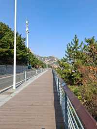 เที่ยวจีนฟีลยุโรป! แจกแพลนเที่ยว"ชิงเต่า"5วัน4คืน