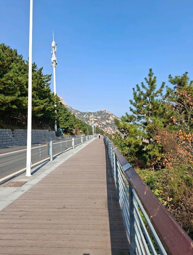 เที่ยวจีนฟีลยุโรป! แจกแพลนเที่ยว"ชิงเต่า"5วัน4คืน เที่ยวจีนฟีลยุโรป! แจกแพลนเที่ยว"ชิงเต่า"5วัน4คืน