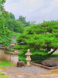 청주여행 추천코스! 📍운보의 집 🏡