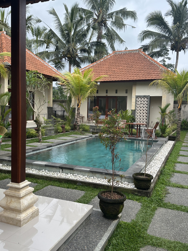 We checked into the Villa Natasya hotel (separate houses, built in August of this year, everything is new and intact, and the price is the same as a regular hotel). The owner showed up to ask if we needed anything. The staff is helpful, available 24/7, and they can rent you a Honda Scoop.

There are Tegallalang Rice Terraces nearby; they charge for parking everywhere, or if you stop at their cafe. You can park for free near the store. They're beautiful, but it was raining.

Nearby is Manuaba Waterfall Air Terjun Manuaba. This is the first waterfall, and further in, there are other waterfalls. We arrived in the evening, so we got in for free.

The Jatiluwih Rice Terraces are the most legendary, much larger and more beautiful than the first ones. There's an entrance fee, but it's worth it. There's a passageway inside the terraces; they say there's a fee, but we just walked in for free. There's also a cafe called Sunari Bali with good prices and a beautiful view right inside the terraces, more interesting than the cafe by the road.

Kantō Lampo Waterfall. There's a locker for clothes; use it to keep your clothes from getting wet. It's very deep right as you descend; I fell waist-deep into the water. A little further on, I slipped and fell. There's a long line for photos. You can also descend to the left, and there's a field up the mountain with a view of the waterfall.

Tegenungan Waterfall is large; you can swim closer to it, but it's waist-deep, so don't be afraid. The bottom is sandy (or earthy), but the entrance is rocky, and it gets deep right as you descend. That's why people don't go to the entrance, but to the bridge (you'll see it).

Lahangan Sweet Viewpoint. I don't know why everyone raves about it; it's not worth the money. Entry is 100,000 rubles per person, the walk there is very long, and it's so-so. There's nothing to do there, and the cafe is so-so. The volcano is invisible; it's in the clouds. Literally 20 minutes later, a cloud rolled in and it started raining.