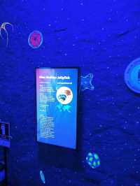 SEA LIFE  ย้อนวัยเด็กที่อควาเรียมกลางกรุง 🐠🪼🪸