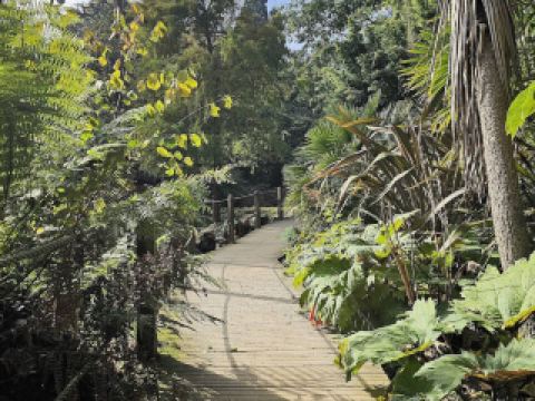 失落的赫利根花園