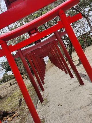 สวนโอกิเป็นสวนแห่งเดียวในจังหวัดซากะ บนเกาะคิวชู ที่ได้รับการคัดเลือกให้เป็นหนึ่งใน "100 สถานที่ชมดอกซากุระที่สวยที่สุดในญี่ปุ่น"