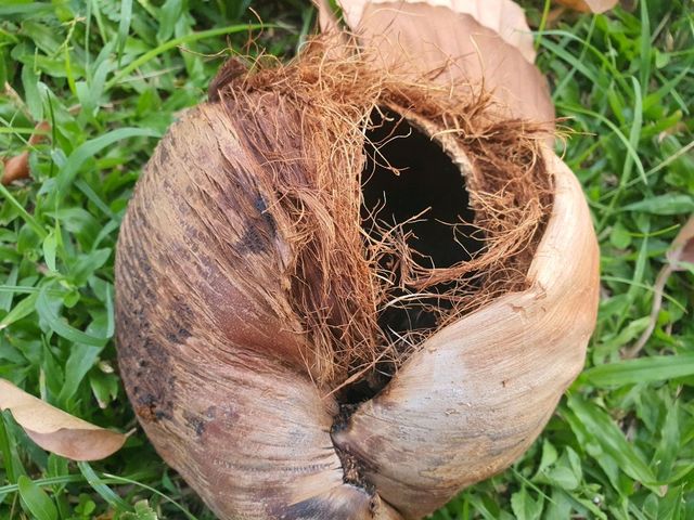 NEW 2026 YEAR IN BANGKOK, THAILAND